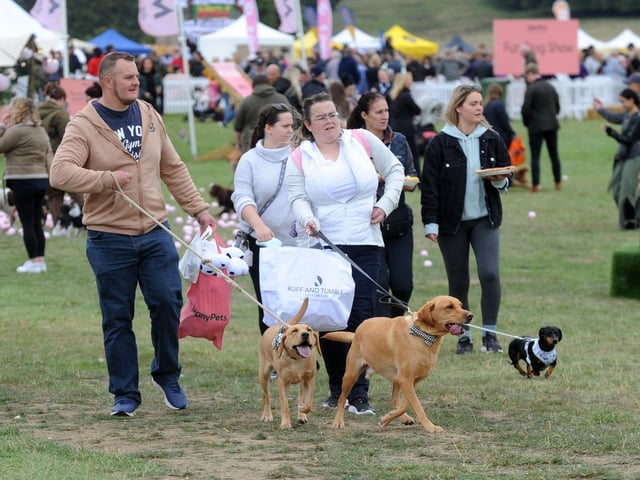 People brought along their canine companions for the festival.