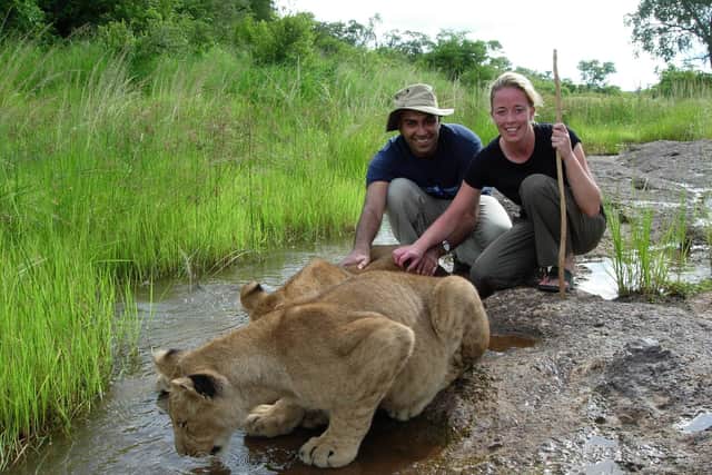 TV presenter, traveller and now president of The Ramblers, Amar Latif, is pictured with lions in the river. Photo: Amar Latif