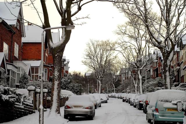 Frozen cars on a street 