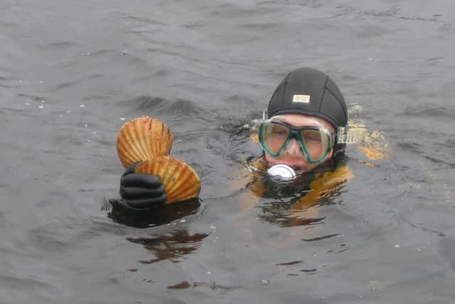 David Oakes diving for scallops