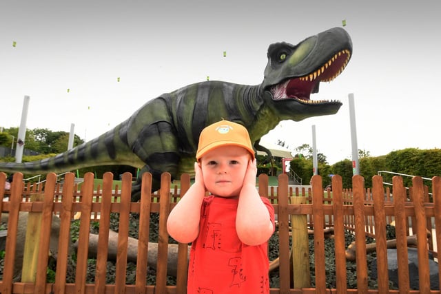 The centre will host a number of Dino Days throughout August, including special performances and the chance to get up-close and personal with a variety of dinos