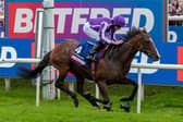 The 2024 Betfred St Leger is back
