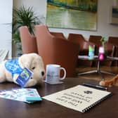 Trainee support dog Tevye ponders over his will at Best Solicitors