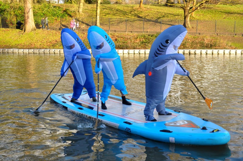 These three sharks had a fin-tastic view of Roundhay Park from Waterloo Lake!