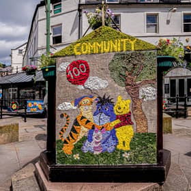 One side of the Children's well celebrates 100 years of Winnie the Pooh. Photo Roger Beverley