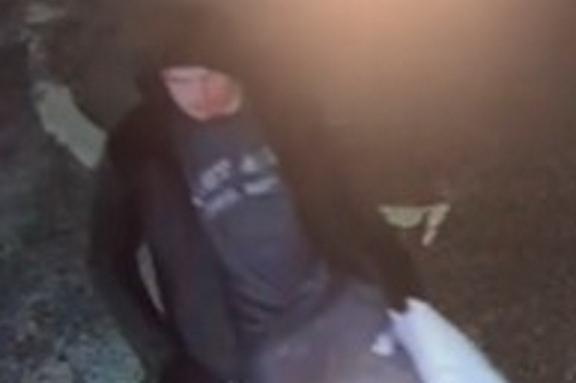 Photo LD6628 refers to a theft on November 11 in Leeds South.