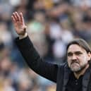 FRESH BOOST: Expected for Leeds United and boss Daniel Farke, above. Photo by Richard Sellers/PA Wire.