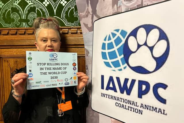 Debbie Wilson spoke at Parliament on Tuesday - Animal News Agency