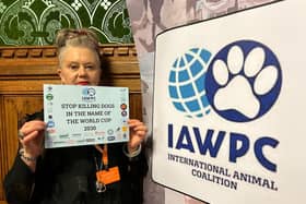 Debbie Wilson spoke at Parliament on Tuesday - Animal News Agency