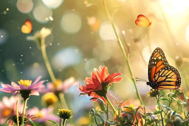 If you want to encourage bees and butterflies to your flower beds then think about some wildlife friendly summer bedding such as tobacco plants and petunias