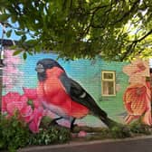 Sue Ryder Wheatfields Hospice mural, painted by Cortisol Kid