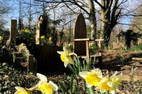 Daffodils in a church yard from @austerfield_sc