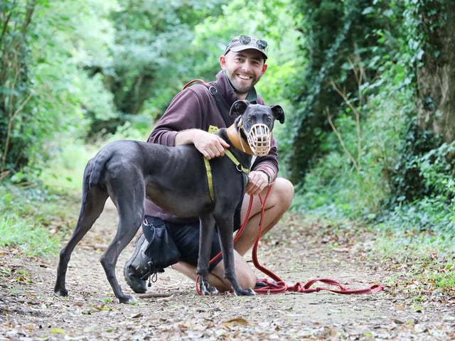 Nine-year-old Lurcher Domino was taken for a special off-site adventure with his favourite handler Kieran. He has a strong chase instinct, so happily wears a muzzle when out and about.