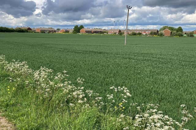 Around 1.3 million tonnes of limestone could be quarried from land next to homes on the Warwick Estate in Knottingley if proposals are approved by Wakefield Council