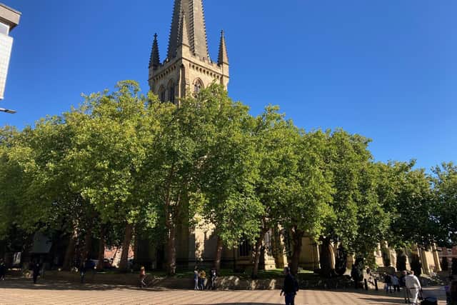 Work to cut back trees outside Wakefield Cathedral is to be carried out amid concerns they contribute to anti-social behaviour problems in the city centre. LDRS image
