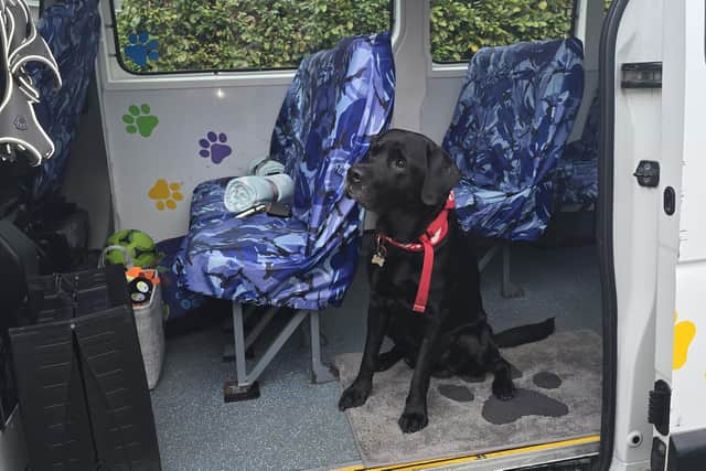  The new service launched on Monday with ex-school bus driver Lisa Pinardi in the driver’s seat travelling across Wakefield and Mirfield.