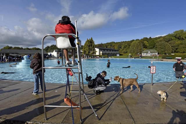 Dog Day is an event that the Friends have worked with the council to hold - though the council were criticised for allowing dogs to swim for free when children under 16 are charged entry to the pool