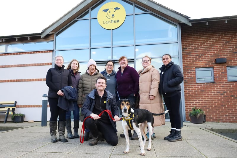 Staff from Leeds Building Society spent a day with the rehoming centre team volunteering as part of their corporate volunteering scheme. They spent the day cleaning and tidying training compounds, cleaning the real life rooms and helping out with some of the dogs excersise sessions.