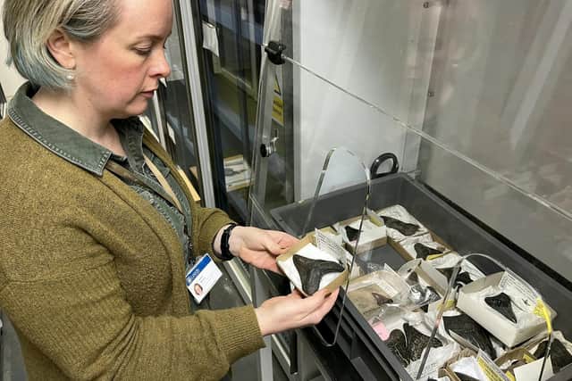Visitors to the Discovery Centre, which is open for tours by appointment, can still see an array of insects and arachnids. Picture: Leeds Discovery Centre / SWNS
