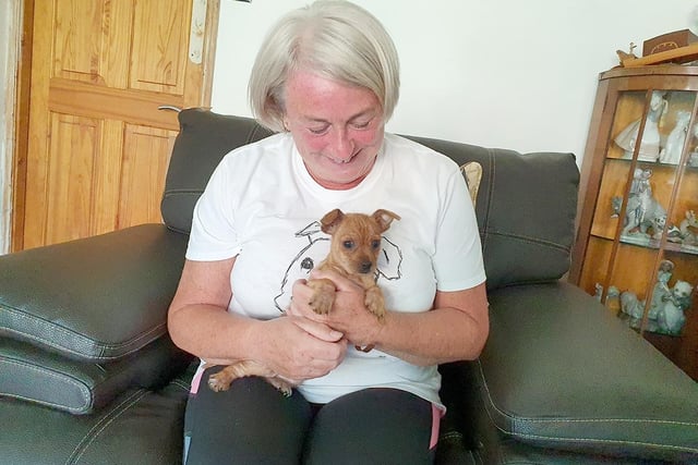 The rehoming centre has expanded their network of foster carers this year and as a result the Home from Home fostering scheme has helped to rehome 158 dogs in 2022!
Dedicated volunteer foster carers, like Christine Drysdale pictured with stray Terrier puppy, Barry, earlier this year, are vital in helping dogs who need a little extra TLC. Often older, or with medical conditions, these dogs would find kennel life a real struggle but by placing them in a more familiar home environment, the entire process is made much easier for them. 
Dogs Trust provides full support throughout the dogs stay and will even supply all the food, bedding and medication required. If you might be interested in signing up to become a Foster Carer for a dog in need then simply email HFHLeeds@dogstrust.org.uk to find out more.