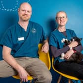 Veterinary surgeons, Esther and Luke Green.