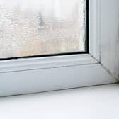Damp and mould in the home pose a considerable threat to both the structure of the home and the health of households.