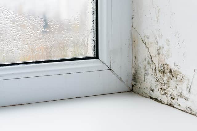 Damp and mould in the home pose a considerable threat to both the structure of the home and the health of households.