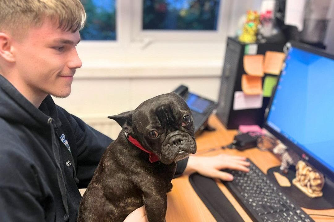 Celebrate 200 years of the RSPCA with Bring your Dog to Work Day - Vimarsana News