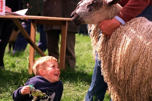 Otley Show in May 1999. Young Ben Buchingham holds the trophy won by his grandfather David Newbould of Stubbings Farm, Dallowgill, near Ripon,  with his Teeswater Tup Hogg.