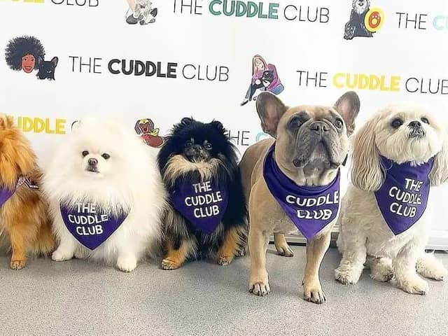 A variety of breeds of dog from The Cuddle Club will be available for cuddles on Sunday at Victoria Gate.