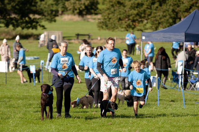 The challenge aims to raise money for Battersea through participants fundraising £100 in advance of the day.