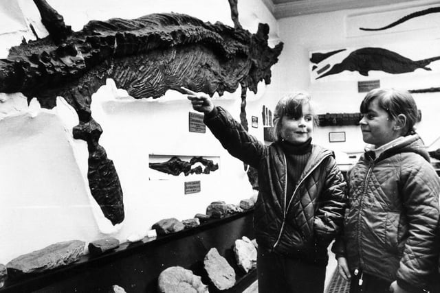 Young visitors to Whitby Museum in March 1971 take an interest in this huge fossil of a prehistoric creature. The fossil was found near Whitby.