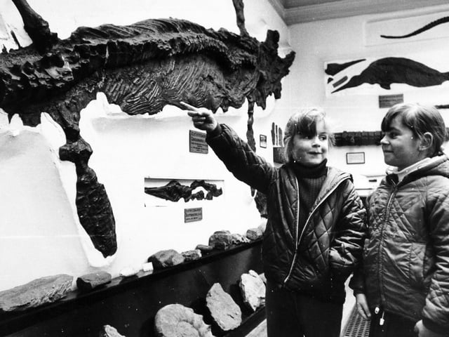 Young visitors to Whitby Museum in March 1971 take an interest in this huge fossil of a prehistoric creature. The fossil was found near Whitby.