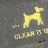A Leeds woman has been fined £5,000 for not picking up after her dog or keeping it on a lead.