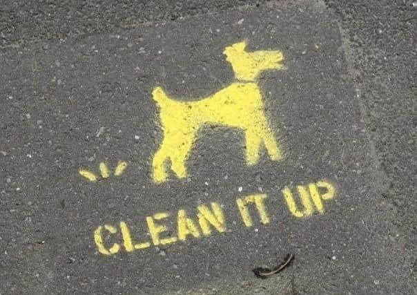 A Leeds woman has been fined £5,000 for not picking up after her dog or keeping it on a lead.