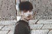 Image LD2854 refers to a robbery on August 17.