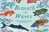 National Trust: Beneath the Waves: Press out and learn about 20 fabulous fish by Lauren Fairgrieve and Kate Read