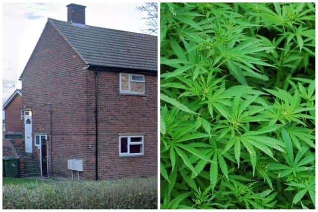 Omari's upstairs flat was found to contain more than 1kg of cannabis. (pic by Google Maps / National World)