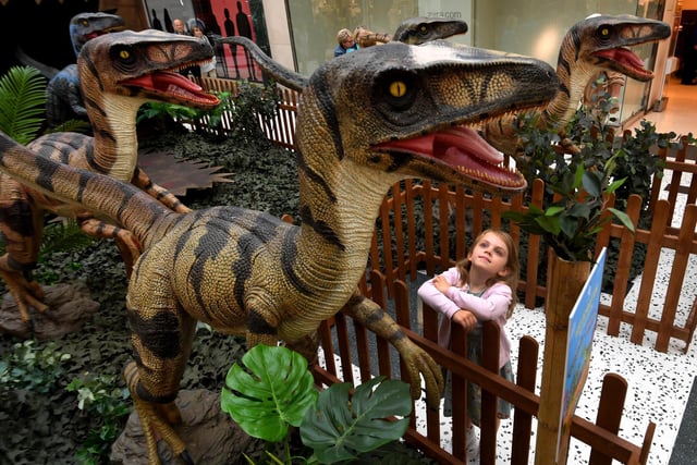 Guests can get up-close and personal with a variety of dinos, from the giant T-Rex and mighty Spinosaurus as well as a selection of colourful raptors.