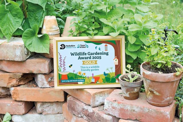 The new award plaque.