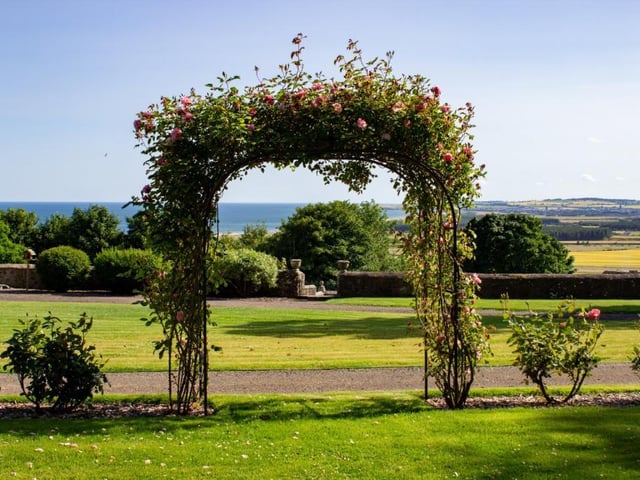 View from garden.
