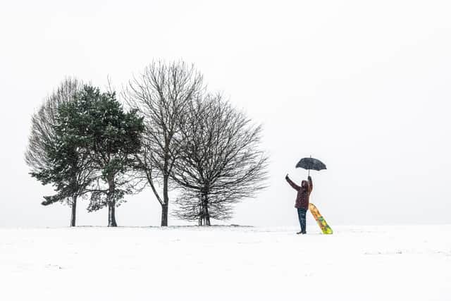 Pictured is Hamed Alsubhi having fun sledging in Roundhay Park. PIC: James Hardisty