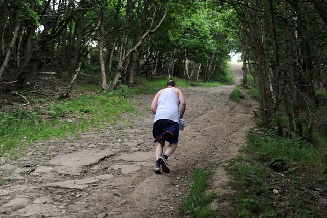 Post Hill is a nature trail in Pudsey that is loved by locals - and a great spot for a walk or run. It covers many acres of woodlands and waterways as well as being home to a wide range of plant and animal species.