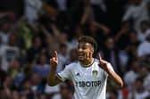 Leeds United's Rodrigo is the Premier League's top scorer this season (Photo by PAUL ELLIS/AFP via Getty Images)