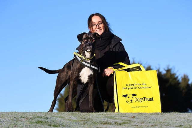 Lexi, a three-year-old Boxer cross, was one of the many lucky dogs to be adopted this month. It seems that 2023 has started with a real bang and in total the rehoming centre has successfully rehomed over 70 dogs in January alone! That’s a lot of happy boys and girls all settling into their forever homes.