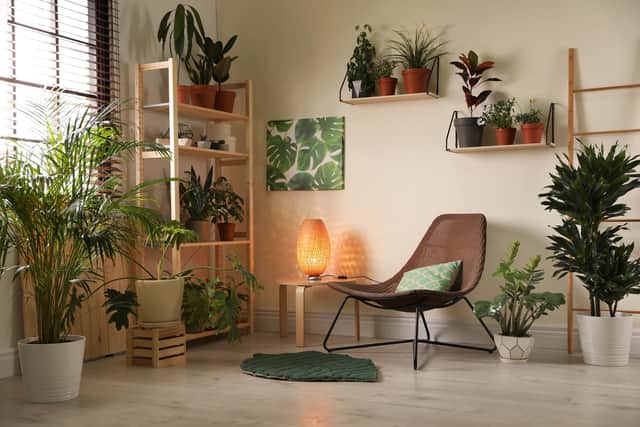 A stylish living room interior with home plants and lounge chair.