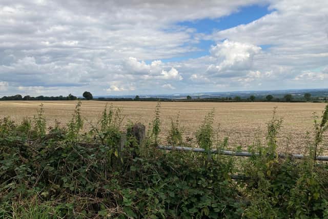 Boom Power has been granted planning permission to build a solar farm on a 55-acre site near Woolley village, in fields next to Woolley Edge Lane, Middle Field Lane and Gypsy Lane. LDRS image