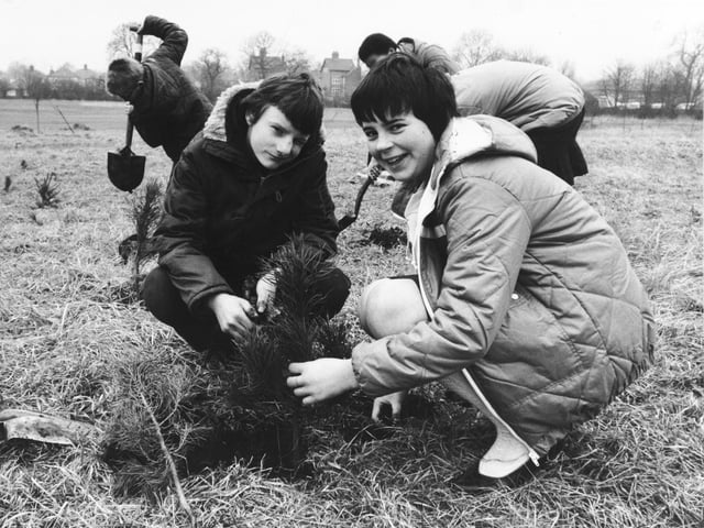 Foxwood School in Seacroft was Leeds' first comprehensive. It opened as a comprehensive secondary school for boys in September, 1956. It closed in the 1990s. Pupils from the school are pictured planting trees in February, 1982.