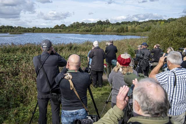 Facilities could be improved at wildlife sites St Aidan’s and Fairburn Ings.