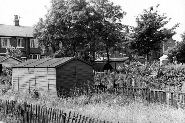This view looks across allotment gardens located to the rear of houses on Parnaby Road which can be seen in the background.